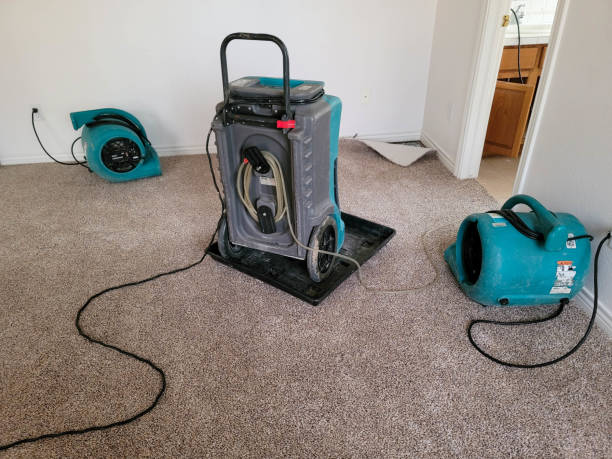 Best Water damage restoration near me  in Oceanside, NY