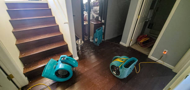 Best 24/7 water damage repair  in Oceanside, NY