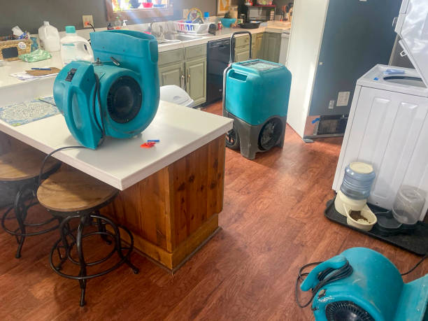 Best Mold removal after water damage  in Oceanside, NY