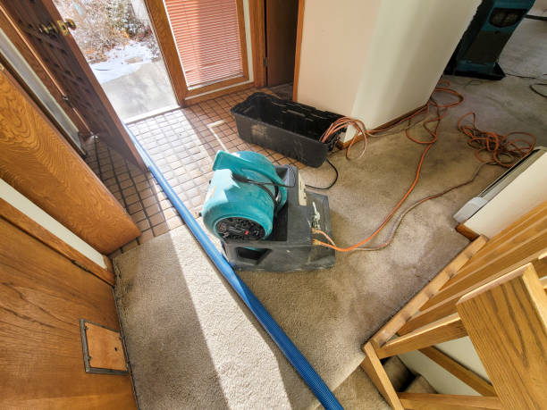 Best Residential water damage restoration  in Oceanside, NY