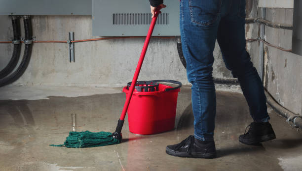 Best Mold removal after water damage  in Oceanside, NY