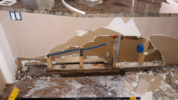 Best Professional water damage repair  in Oceanside, NY