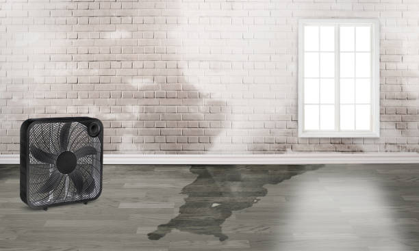 Best Fire Damage Restoration  in Oceanside, NY
