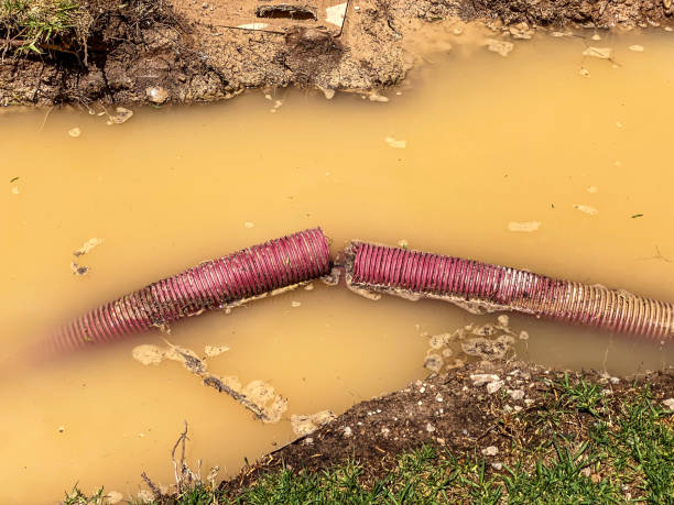 Best Carpet water damage restoration  in Oceanside, NY