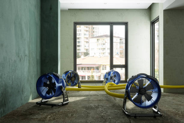 Best Flood restoration services  in Oceanside, NY