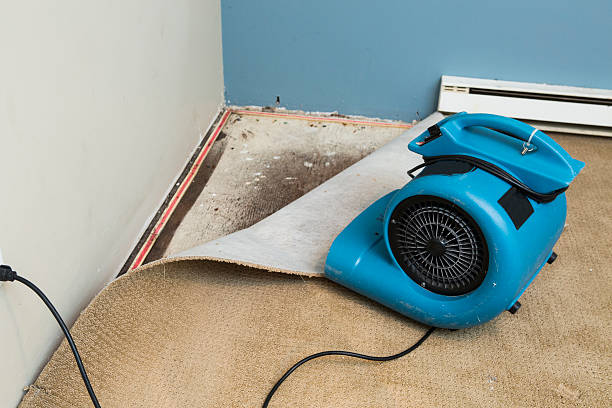 Best Commercial water damage restoration  in Oceanside, NY